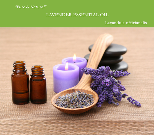 Lavender Essential Oil
