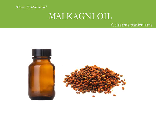 Malkangni Oil Raw Material: Seeds