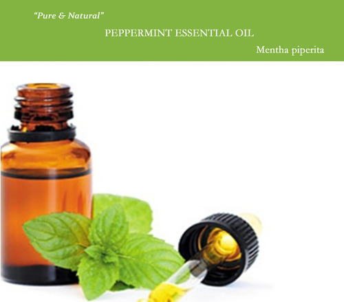 Peppermint Essential Oil Raw Material: Leaves