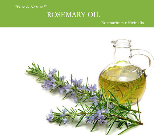 Rosemary Oil