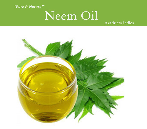 Neem Oil Raw Material: Seeds