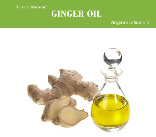 Ginger Oil - Rhizome Extract, 3-Year Shelf Life | Fragrance Compound, Pain Relief for All Age Groups, Nausea Treatment
