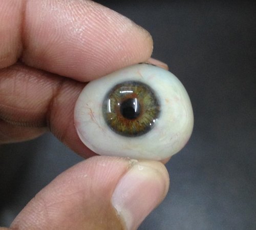 Artificial Eye Artificial Eye