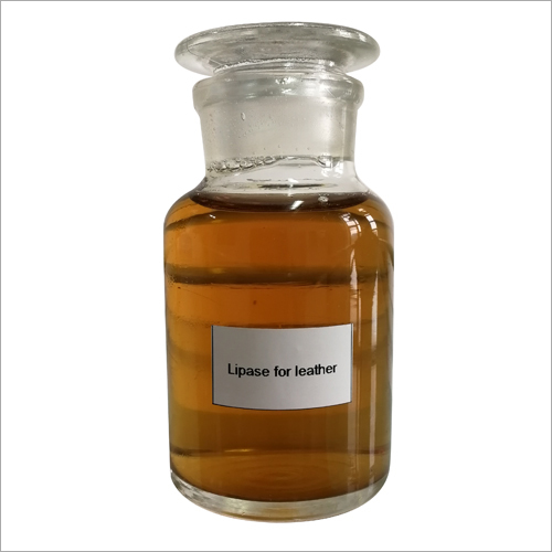 Lipase Leather Enzyme