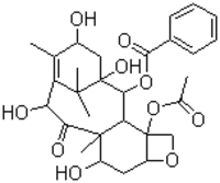 10-Deacetylbaccatin III