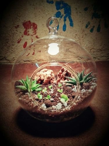 Ball Shaped Terrarium Glass Pots