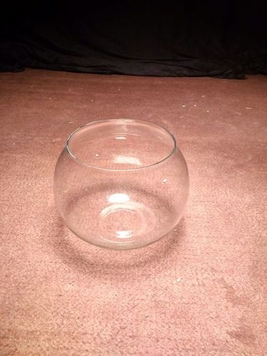 Hollow Fish Bowl Shape Glass Pot