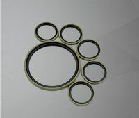 Bronze Filled PTFE Piston Seal