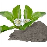 Bhringraj (Bhangro) Powder