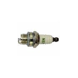 Spark Plug - Regular