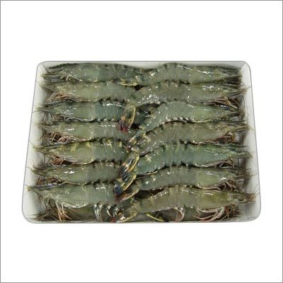 Black Tiger Prawn