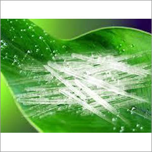 Menthol Crystal Tl
