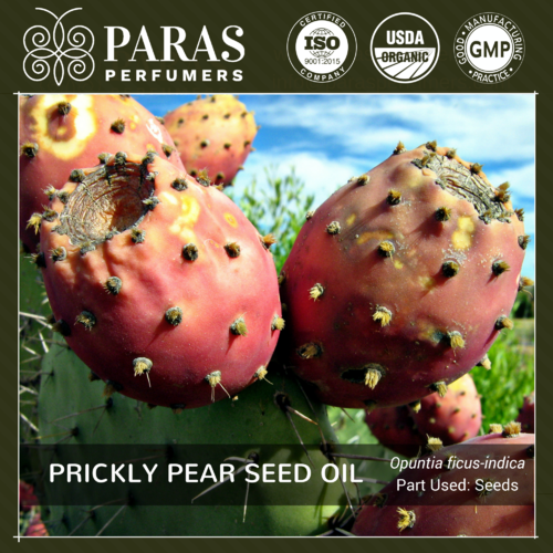 Prickly Pear Seed Oil