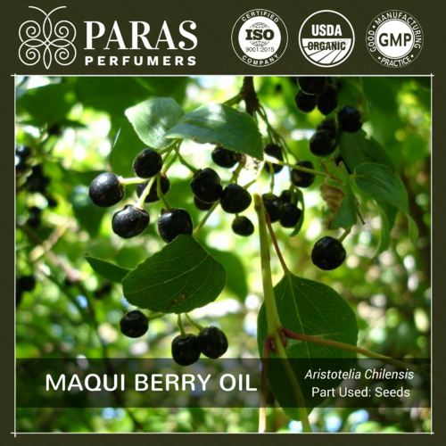 Maqui Berry Oil