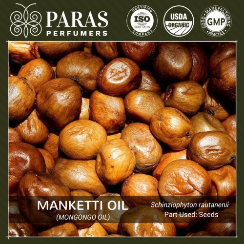 Manketti (Mongongo) Oil