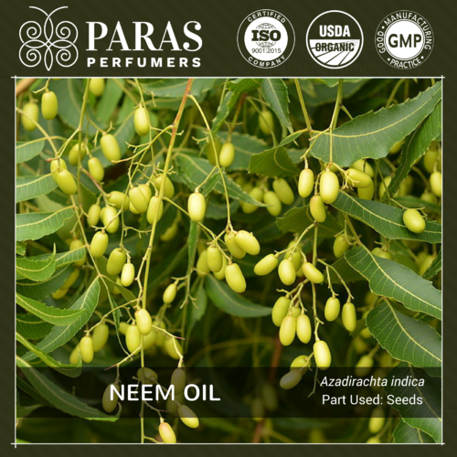 Neem Oil