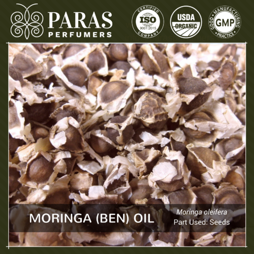 Moringa (Ben) Oil