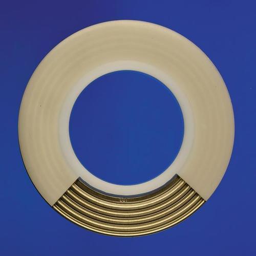 PTFE Envelope Gaskets with S.S. Rings