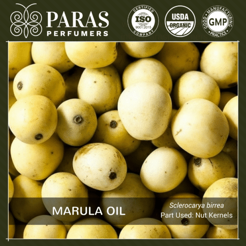 Marula Oil