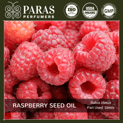 Raspberry Seed Oil