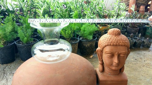 Terrarium Pot - Superfine Borosil Glass, Handcrafted with Expertise in Custom Shapes, Smooth Surface Finish