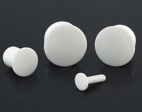 PTFE Plugs