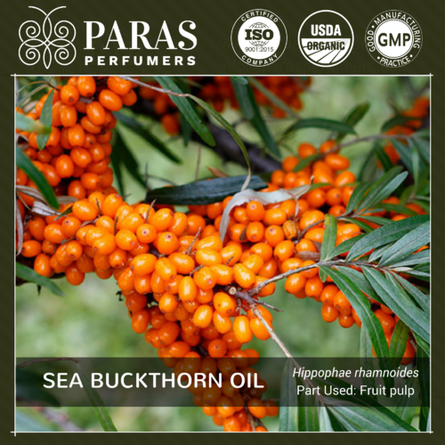 Sea Buckthorn Oil