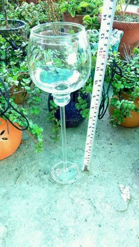 Smooth Wine Glass Shaped Terrarium Glass Pot