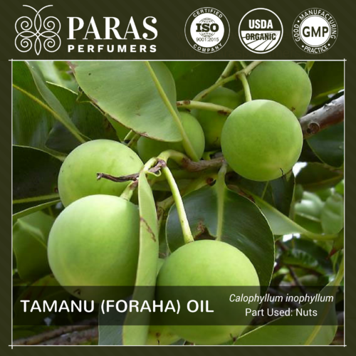 Tamanu (Foraha) Oil