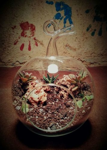 Apple Shaped Borosilicate Glass Pot - 2 to 8 Inch Sizes | Smooth Surface, Customizable Design for Hanging or Table Top Display