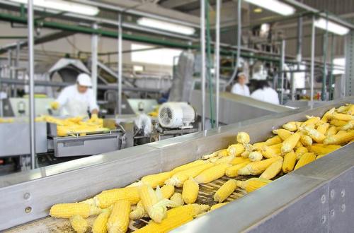 Food Processing Plant Material Handling Equipment