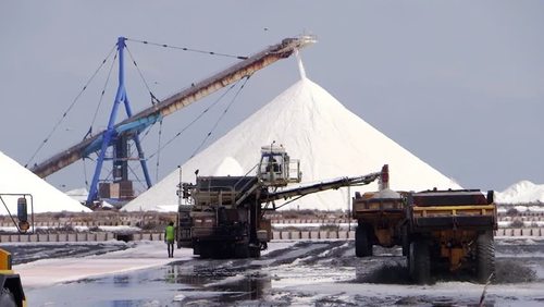 Salt Industruy Material Handling Equipment