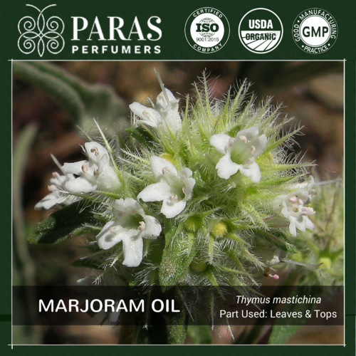 Spanish Marjoram Oil Age Group: All Age Group