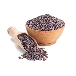 Mustard Seeds