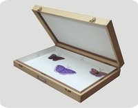 INSECT STORAGE BOX