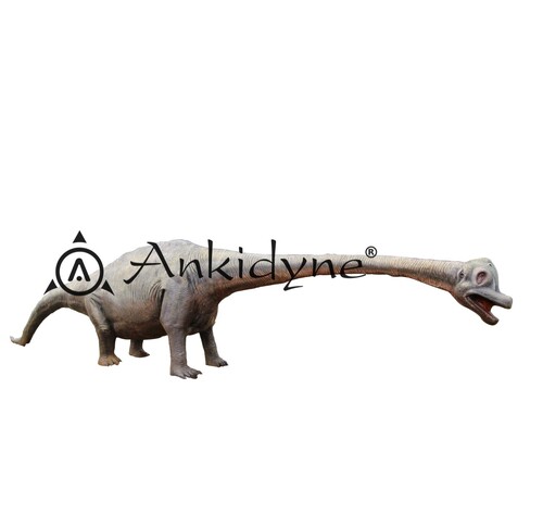 Evolution Park Brachiosaurus