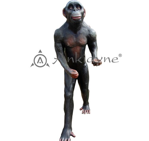 Evolution Park Chimpanzee