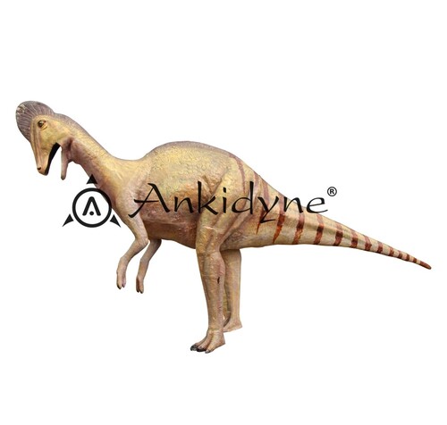 Evolution Park Corythosaurus