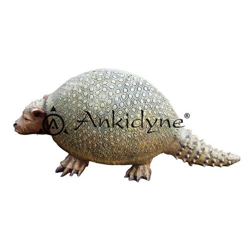 Evolution Park Glyptodon