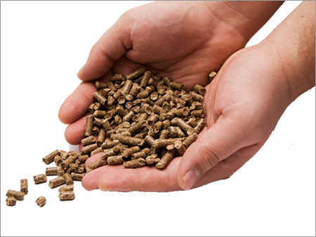 Engery Briquettes