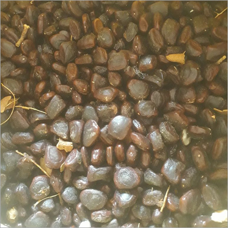 Brown Tamarind Seeds