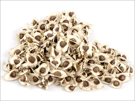 Moringa Seeds