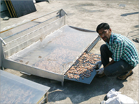 Solar Food Dryer