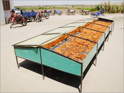 Solar Drying System