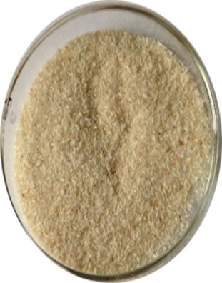 Pure white Psyllium Husk