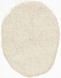 Psyllium Husk Powder