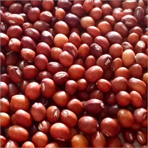 Toor Seeds