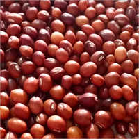 Toor Seeds