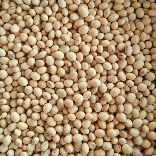 Soya Beans