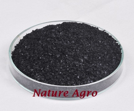 Seaweed Extract By NATURE AGROCARE & RESEARCH PRIVATE LIMITED
